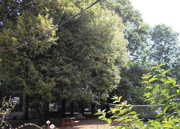 Maison d'hôtes Moulin De Binard