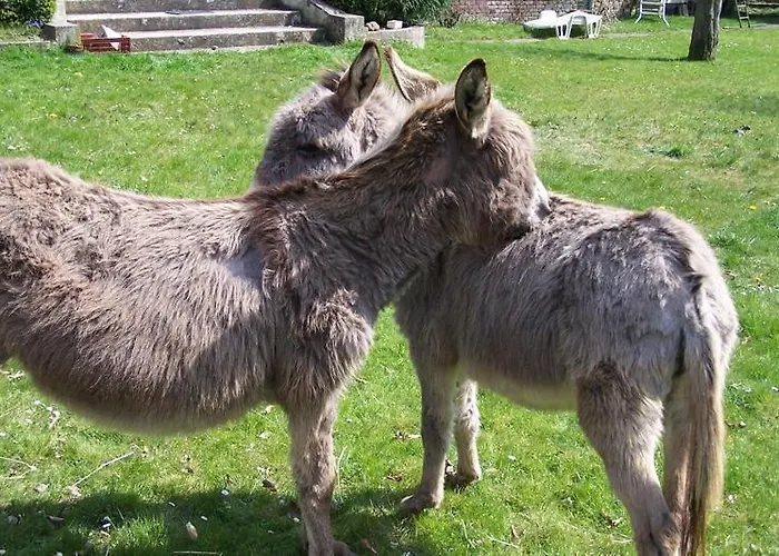 Maison d'hôtes Moulin De Binard Buire-Courcelles