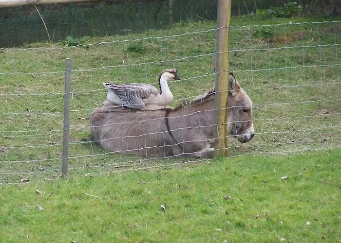 Moulin De Binard * Buire-Courcelles